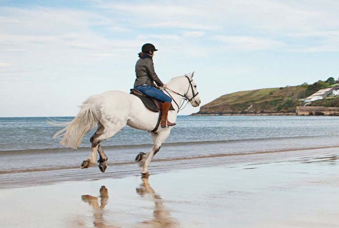 Horseriding at Cliff House Hotel, Ardmore