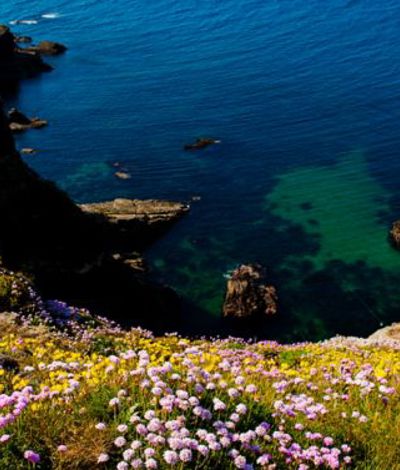 website-banners-476-x-377-31