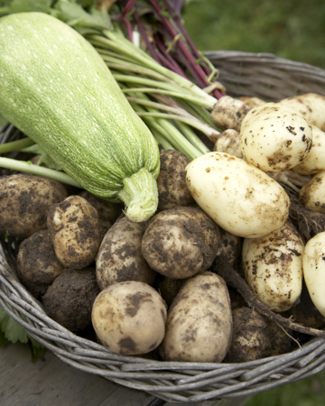 2008 08 28 11.41.02 683X1024