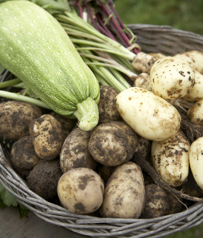 2008 08 28 11.41.02 683X1024