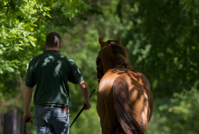 Horse Racing at Cliff House Hotel, Ardmore