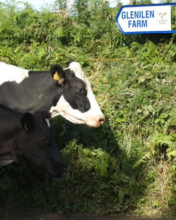 Untitled Design 2020 09 02T172317.742 671X1024