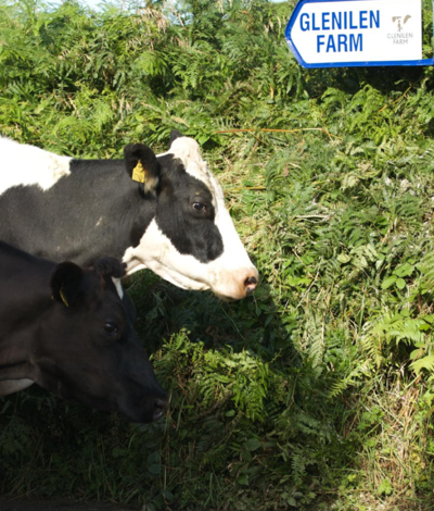 Untitled Design 2020 09 02T172317.742 671X1024