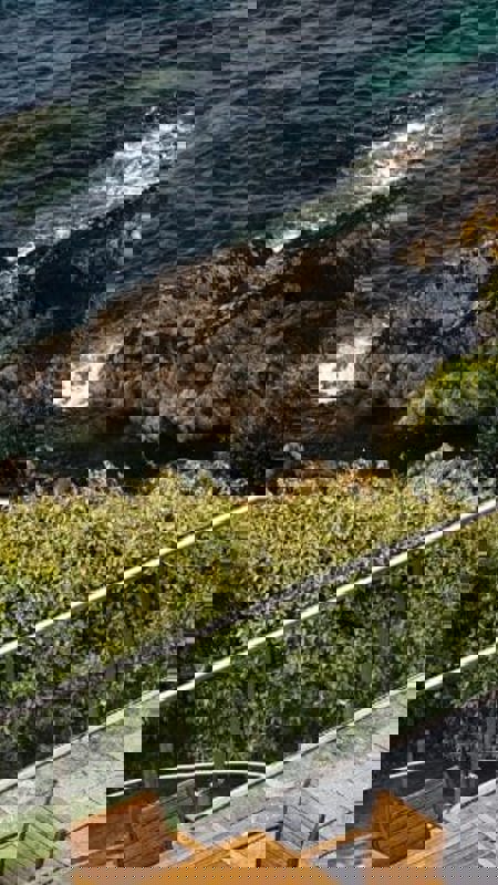 Menus at Cliff House Hotel, Ardmore