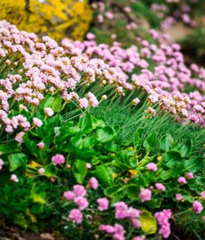 Activities at Cliff House Hotel, Ardmore