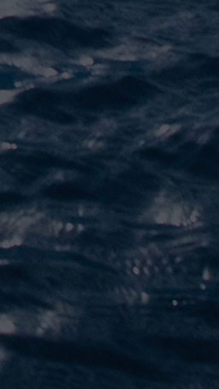 Newsletter signup at Cliff House Hotel overlooking Ardmore Bay