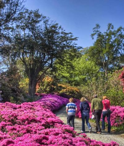 Mount Congreve Gardens on the Waterford Greenway