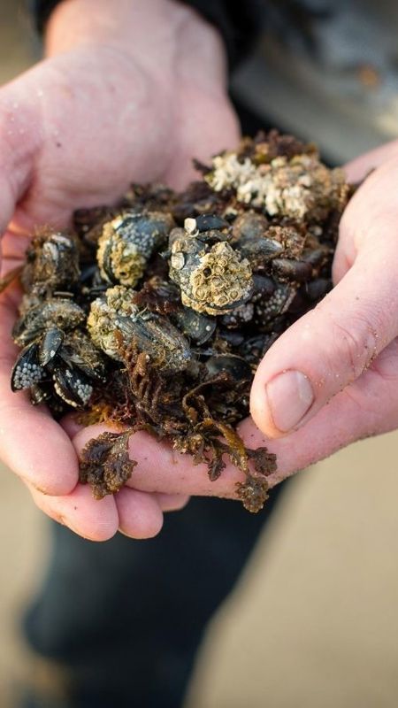 Best Restaurants near Waterford at Cliff House Hotel, Ardmore, Co. Waterford