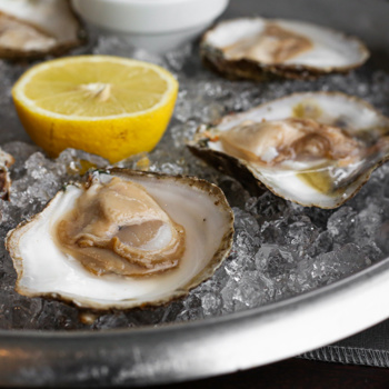 Fresh oysters on ice at House Restaurant, Cliff House Hotel