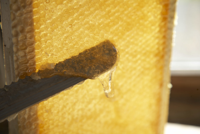 Breakfast Cliff House Hotel