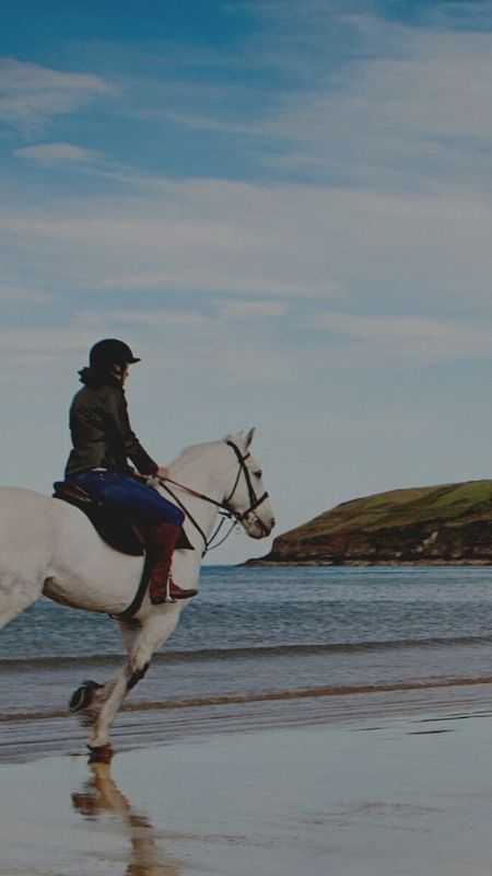 1440-x-900-Website-1