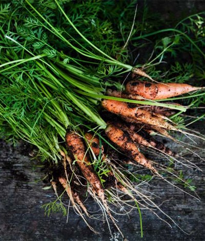 Hurley Carrots at Cliff House Hotel, Ardmore, Co. Waterford