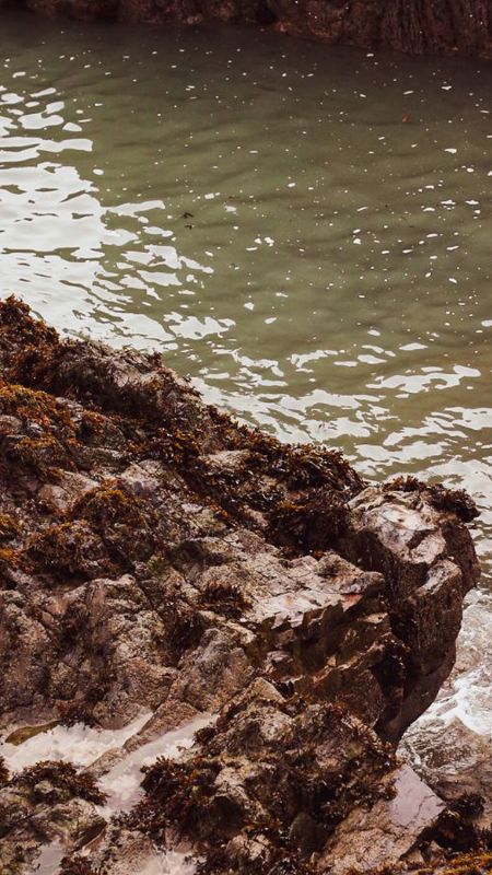 Copy-of-1440-x-900-Website-22