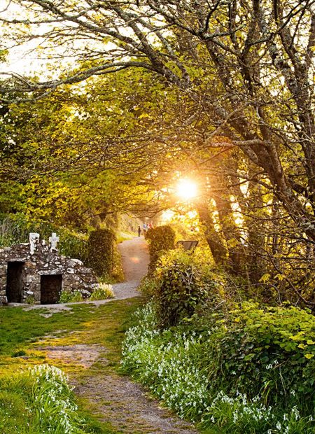Active wellness by land guided hiking at Cliff House Hotel